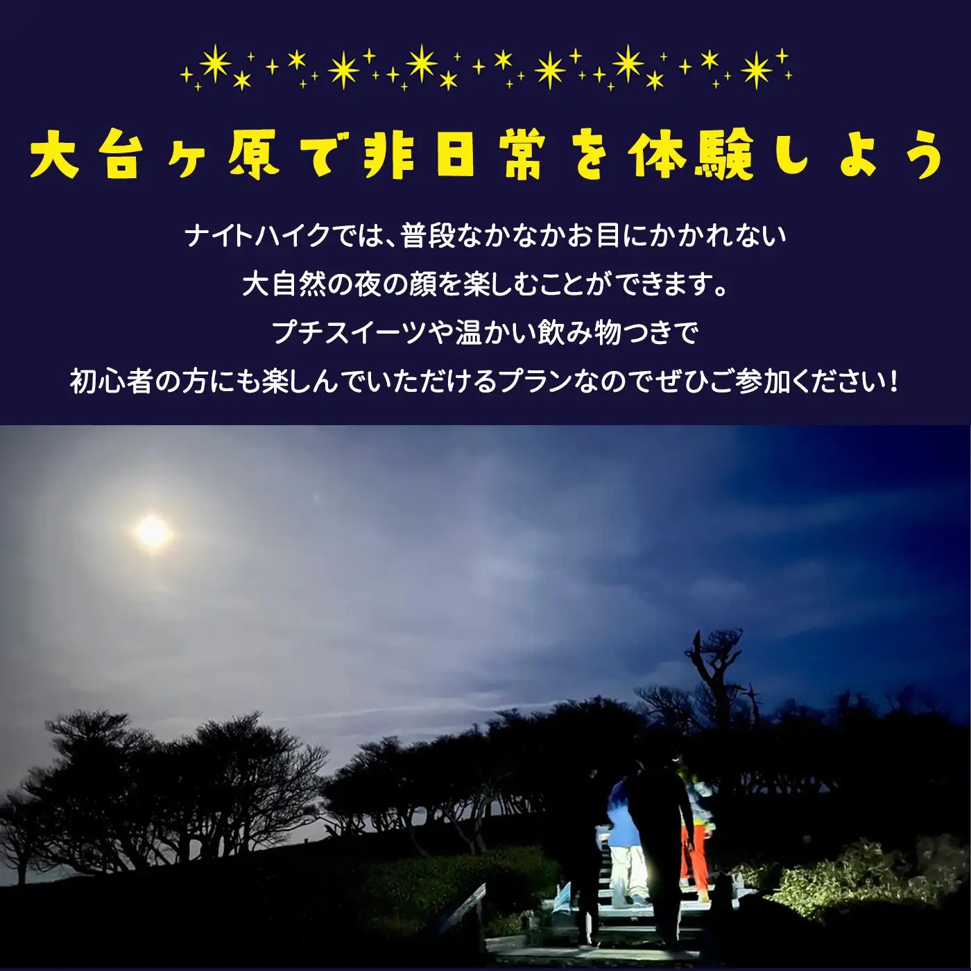 「大台ヶ原ナイトハイク」夜の大自然を満喫・夜にしか出会えない景色に行こう体験割引券（3,000円分）｜ 