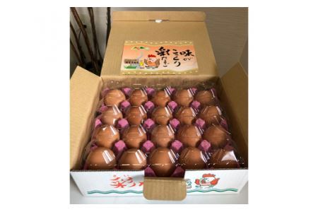 彩たまご うみたてたまご 20個 化粧箱 | 卵 たまご