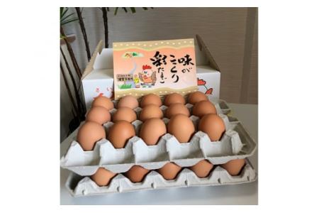彩たまご うみたてたまご 30個 化粧箱 | 卵 たまご