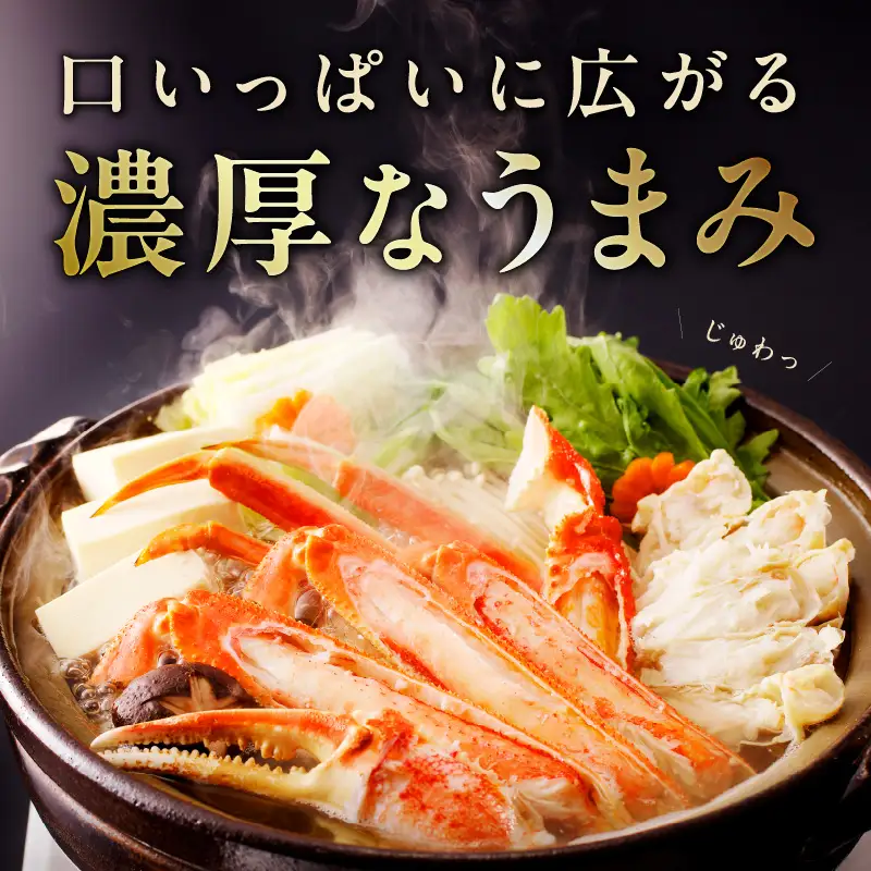 カニ ボイルズワイ蟹 800g（400g×2肩）約2-3人前 昆布仕立て かに 蟹 カニ