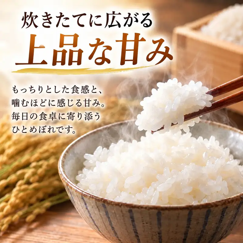 ひとめぼれ 10kg 単一原料米 白米 一等米 ひとめぼれ