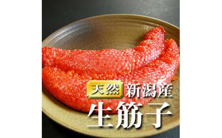 【朝どれ直送】筋子 生筋子 500g 令和8年産 いくら J51_05
