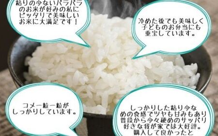 米 新米【令和6年産 新米】新潟産こしいぶき 5kg プロが認めたうまい米 新潟県糸魚川産 農家直送 おいしいお米をお届けします。コシイブキ こしいぶき 精米 白米 あぐ里能生