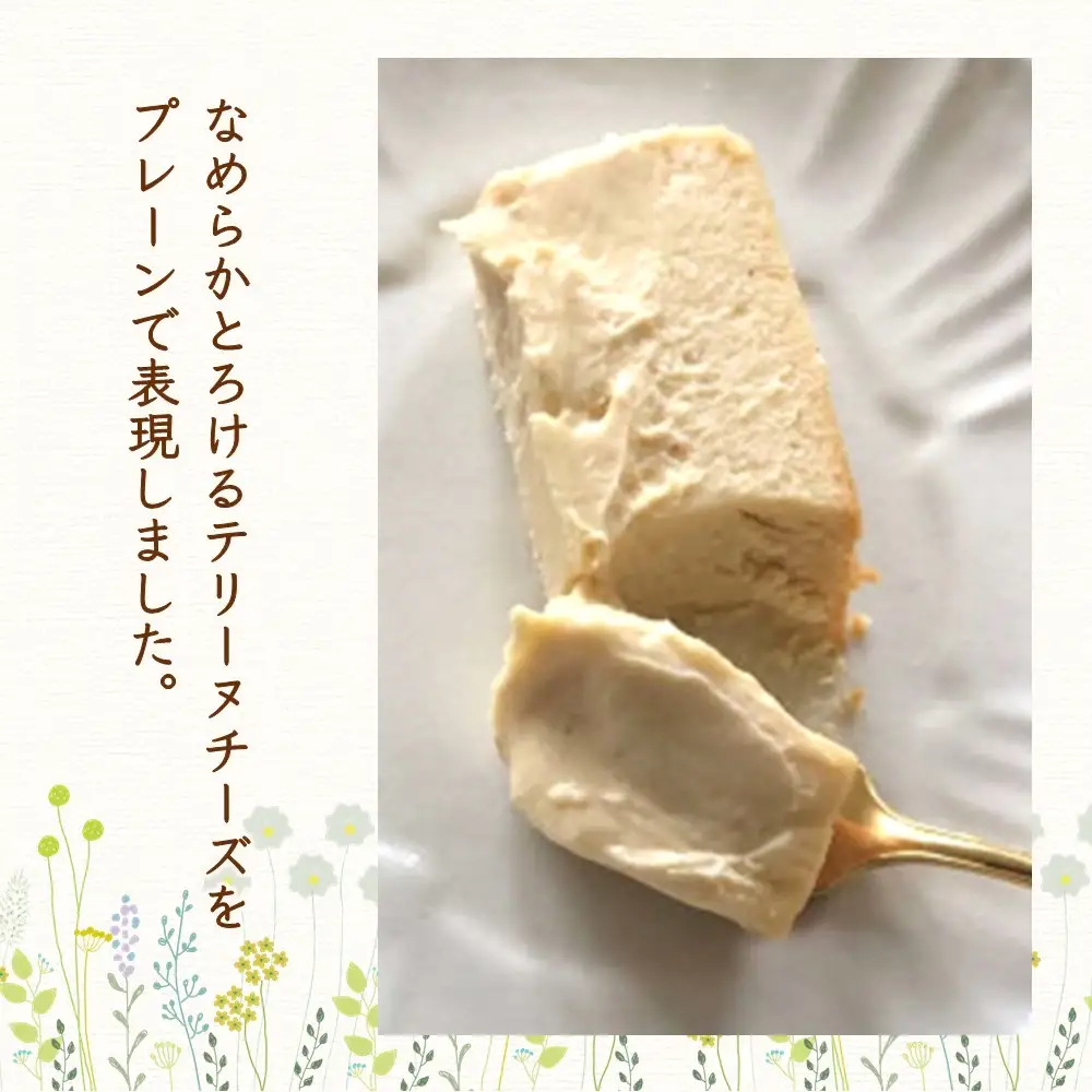 テリーヌチーズ K080011