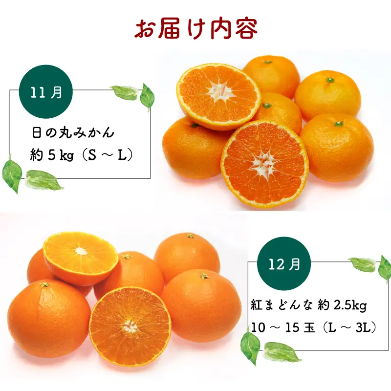 【 みかん定期便】みかん柑橘定期便6回愛媛県観光物産協会|B130-113001