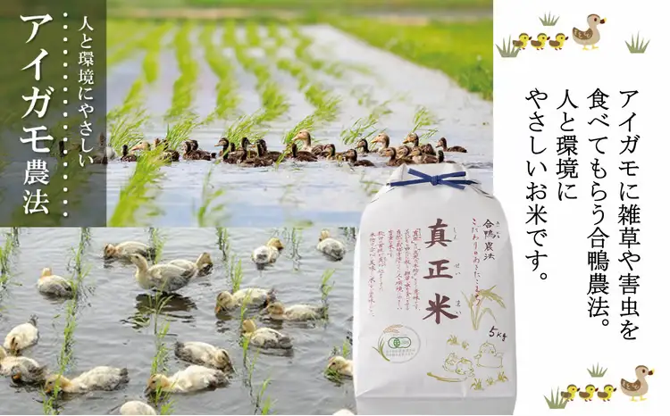 【令和7年産】有機JAS認証米あきたこまち「真正米」 5kg×1袋 90P9034【真正ファーム】