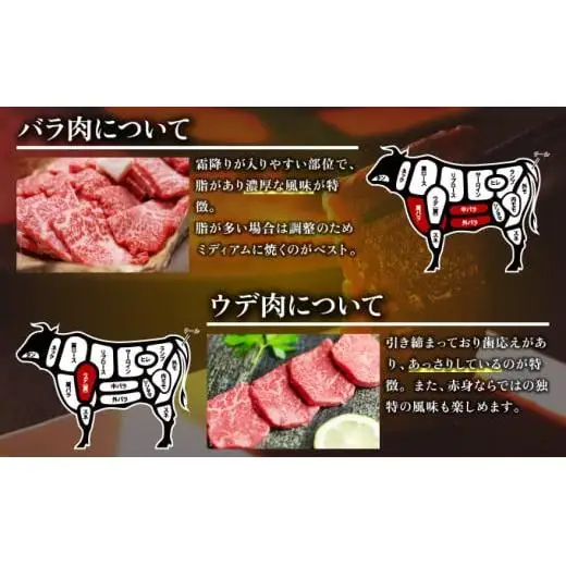 1000g 【佐賀牛】特選カルビ焼肉用（バラ・ウデ）D-608
