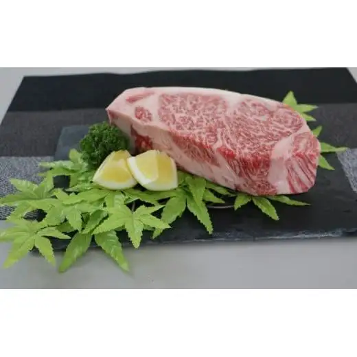 500g【佐賀牛】ロースブロック（タタキ・ローストビーフ・焼肉等） D-609