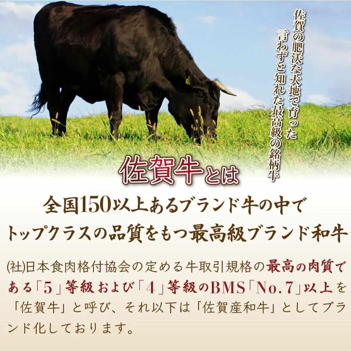 120g×5個【佐賀牛】ハンバーグ B-1011