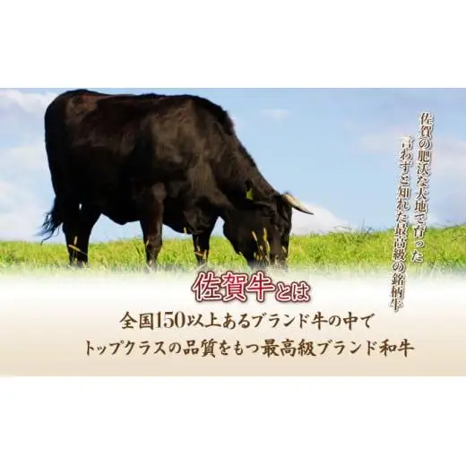 【佐賀牛】ハンバーグ 120g×10個 D-606