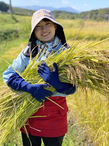 【定期便】新米岩手町産いわてっこ10㎏（5㎏×2袋）6か月毎月配送（計60㎏）