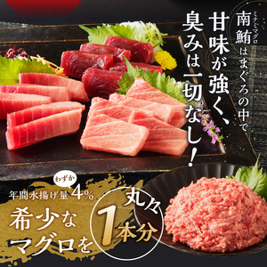 【定期便10回】南鮪 1本 総重量約29kg（各月約2.9kg） (m10-001)