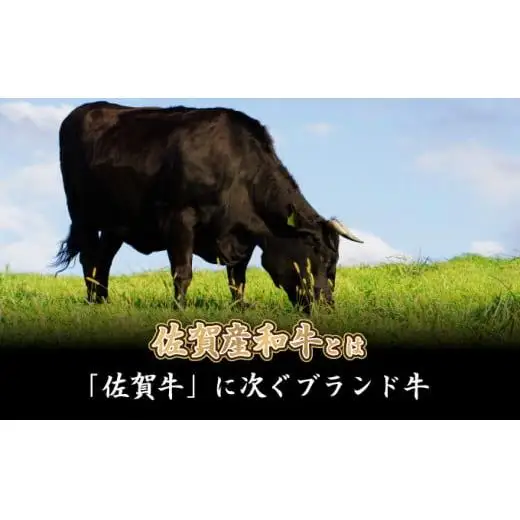 500g【佐賀産和牛】モモスライス（すき焼き・しゃぶしゃぶ）B-1014
