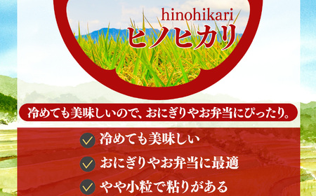 奈良県産 ヒノヒカリ 精米 10kg 【令和7年産】| 米 精米 ヒノヒカリ もちもち 奈良県 五條市