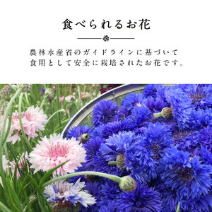 食べられるドライフラワーおまかせ3点セット（ドライエディブルフラワー） 87株式会社 滋賀県 東近江市 A43 食用花 飾り付け ケーキ スイーツ