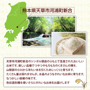 S112-014A_河浦町新合産　くまさんの輝き　精米　6kg（3kg×2）【先行受付】