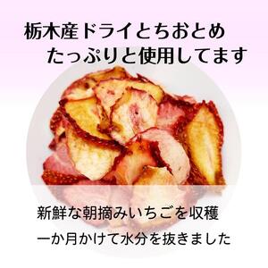 【ふるさと納税】 とちおとめ 生チョコレート（16粒入り） 栃木 とちぎ産 いちご イチゴ 苺 スイーツ 通販 お取り寄せ