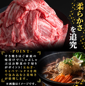 鹿児島県志布志市産横峯黒毛和牛の赤身すき焼き・しゃぶしゃぶ肉(計700g・350g×2P) 鹿児島県産 国産 牛肉 牛 スライス 希少牛 モモ ウデ バーベキュー BBQ すき焼き しゃぶしゃぶ c0-120