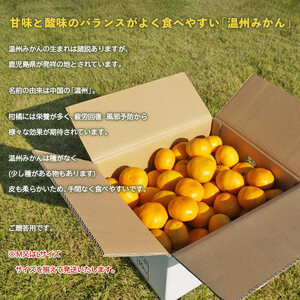 ＜愛媛県西予市産 温州みかん 贈答用 約10kg＞ ギフト 果物 くだもの ミカン 蜜柑 柑橘 フルーツ 特産品 段畑みかん 愛媛県 西予市【常温】『2024年10月下旬～11月下旬迄に順次出荷予定』ADM0016