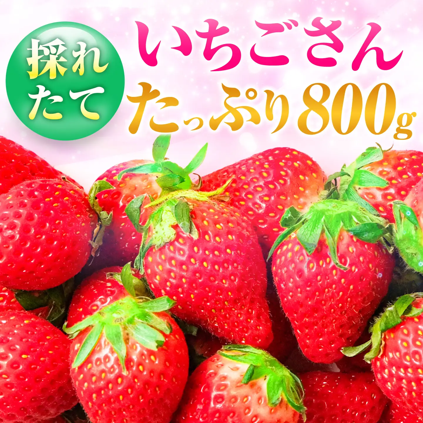 12月から4月発送 いちごさん 約800g いちご 苺[FDF001]