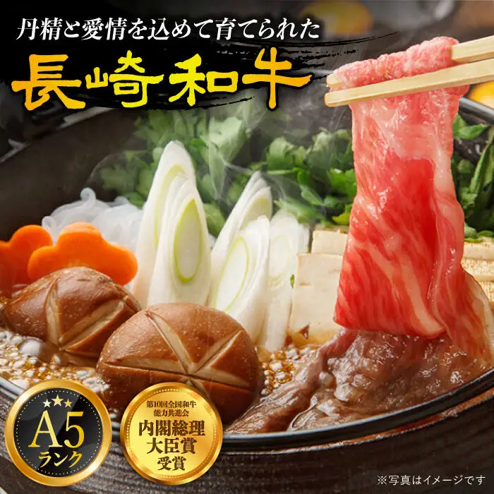【6回定期便】A5赤身 長崎和牛 [DAR034] 赤身 牛肉定期便