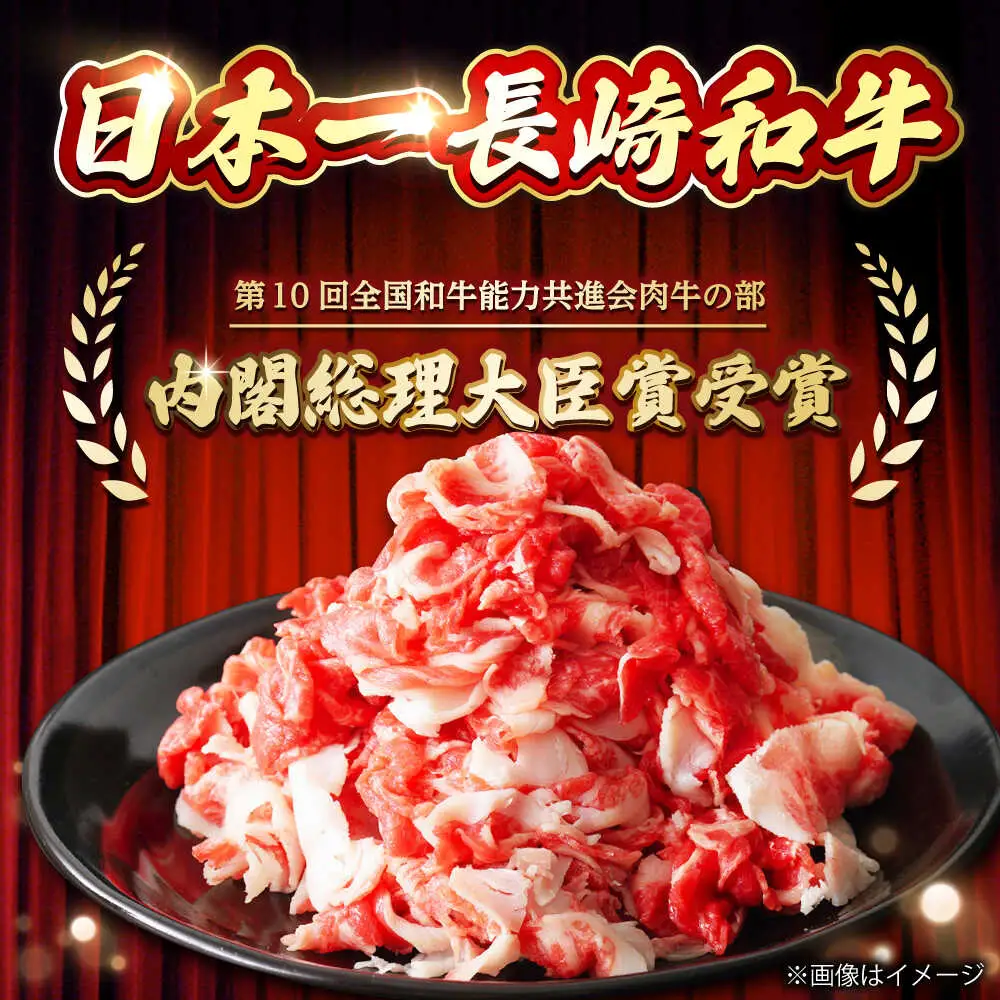 2回定期便 長崎和牛 牛肉切り落とし (300g×2)  [DBL022] 牛肉定期便