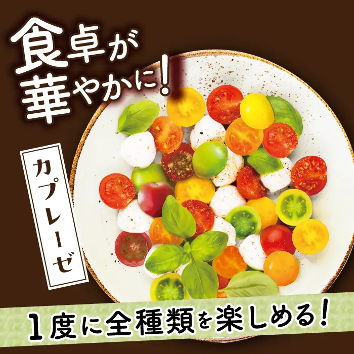 おまかせMIX カラフルミニトマト 約1.2kg [DAE002] ミニトマト