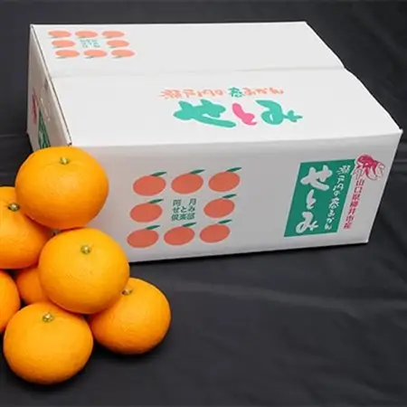 【山口県ブランド】瀬戸内の春みかん　せとみ　20玉～24玉(約4.5kg)_みかん せとみ 柑橘 果物 くだもの フルーツ 瀬戸内 山口県 ブランド オリジナル品種 甘い 糖度 人気 おすすめ お取り寄せ 送料無料_【1007405】