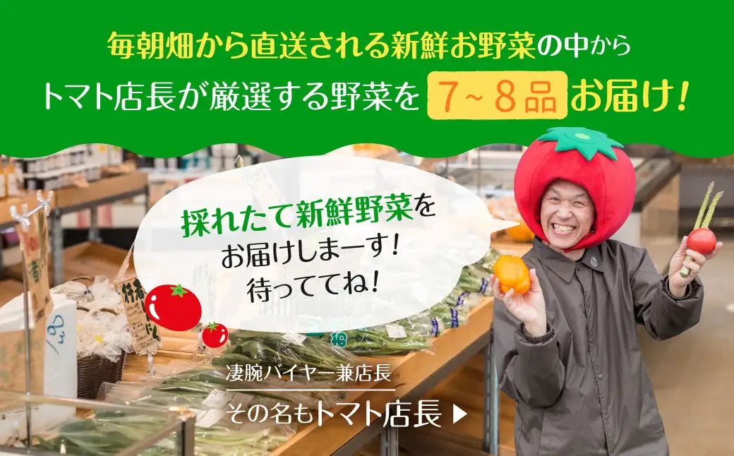 飛騨産 旬の新鮮 野菜セット (7-8品) / 野菜 セット