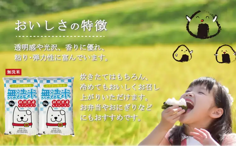 【定期便3ヶ月】秋田県産米「あきたこまち（無洗米）」 10kg（5kg×2袋）　300P9204【真正ファーム】