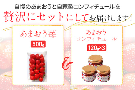 あまおう苺500gとコンフィチュール120g×3個のセット ※2025年1月～5月10日頃順次発送予定 BD13