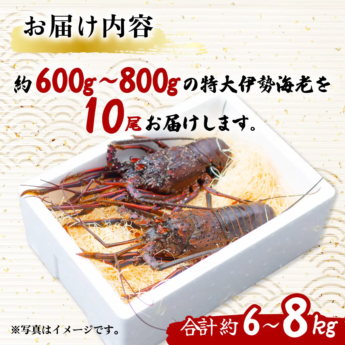 伊勢海老 特大 約600～800g×10尾 伊勢えび 伊勢エビ いせえび イセエビ 海老 えび エビ 海鮮 海産物 海の幸 おせち 高級 国産 海鮮 ギフト 【配送日指定・年内配送】