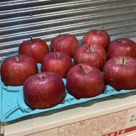 SevenApple木村農園から直送　樹上完熟さんふじ3kg_果物・フルーツ りんご  リンゴ 林檎_【1313967】