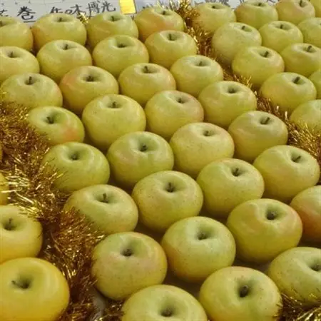 甘い青りんごの定番　青森県産　王林　贈答用　約5キロ　農家直送_果物・フルーツ りんご  リンゴ 林檎_【1430915】