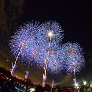 2026年11月7日（土）開催　第95回土浦全国花火競技大会有料観覧席（桟敷席全マス）(定員5名）　※2026年10月～発送