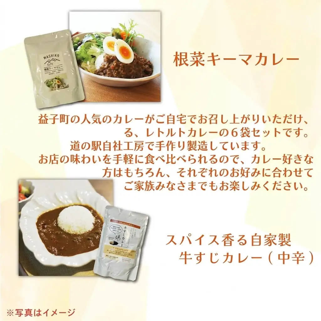益子のレトルトカレー　食べ比べ6種アソート（AA024）