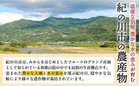 【訳あり/ご家庭用】八朔 4kg＋1kg  計約5kg サンファーム《2027年1月上旬-3月末頃より出荷予定》