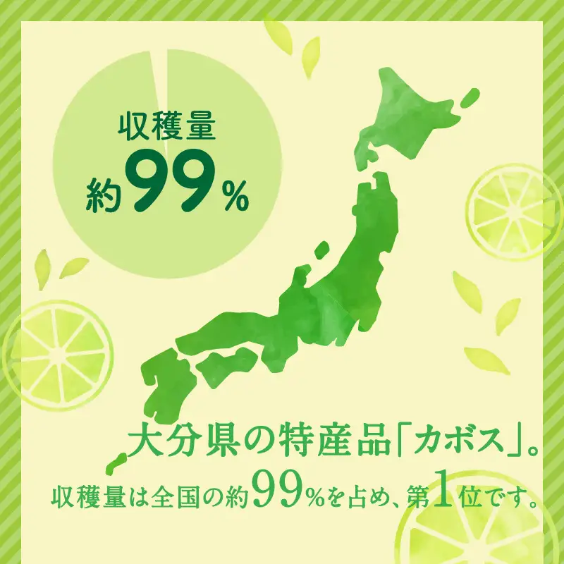 【期間限定9月末まで】大分の露地カボス 約1.8kg C09022