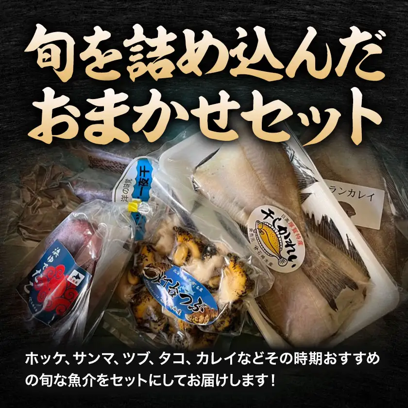 海鮮 海鮮詰め合わせ セット A おまかせ 3～4種 下処理済み 石崎水産