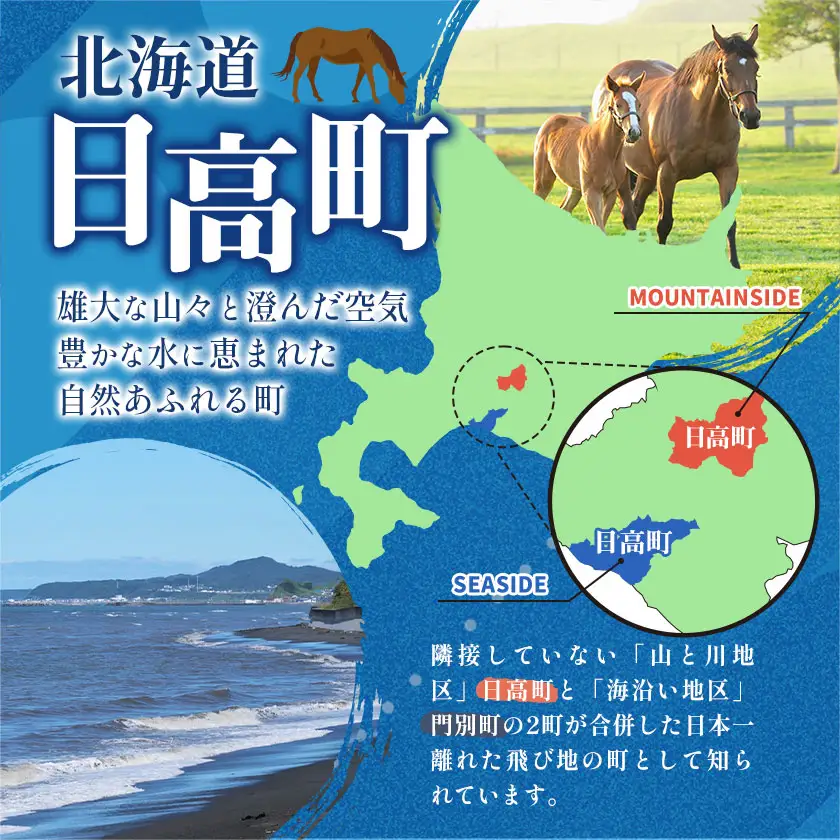 日高産 活ホッキ貝 20個 ひだか漁業協同組合《12月中旬から出荷予定》魚介類 貝 ホッキ貝 活ホッキ貝 ほっき ほっき貝 魚貝 海の幸 海産物 北海道 日高町