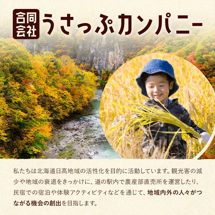激流 ラフティング体験ツアー 半日コース 2名様 参加対象：中学生以上《30日以内に出荷予定(土日祝除く)》北海道 日高町 旅行 家族旅行 ラフティング アクティビティ