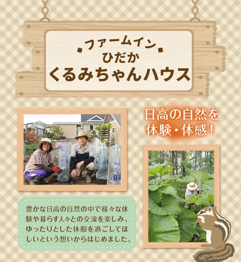 ひだかくるみちゃんハウス 1棟貸切り 宿泊券 1泊 4名様 合同会社うさっぷカンパニー《30日以内に出荷予定(土日祝除く)》北海道 日高町 旅行 宿泊 完全予約制