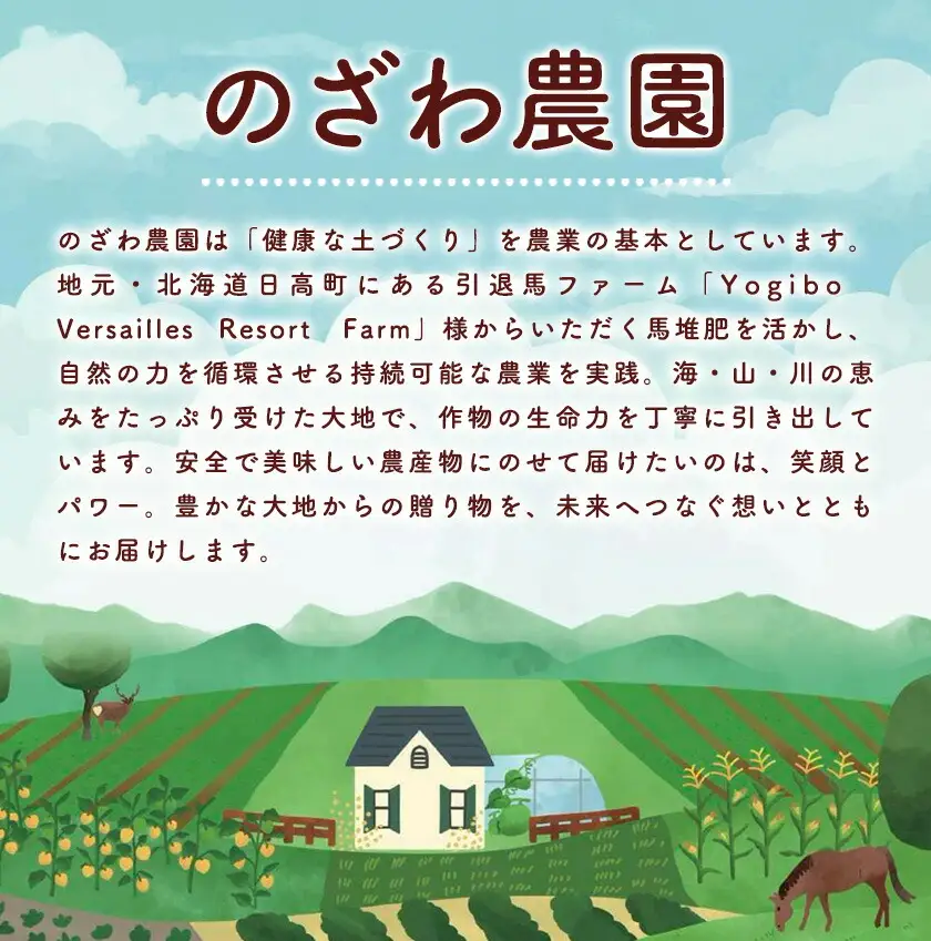 【先行予約】フルーツ ほおずき 太陽の子 約500g ホオズキ 北海道