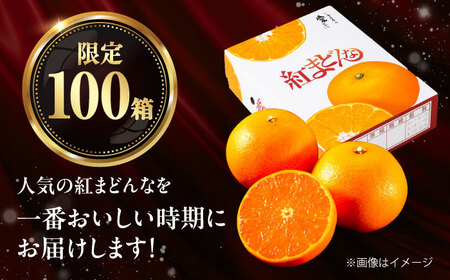 みかん 紅まどんな 青秀 約3kg 10玉-15玉入 フルーツ 果物 みかん BJCG002