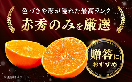 みかん 紅まどんな 赤秀 約3kg 10玉-15玉入 フルーツ 果物 みかん BJCG001