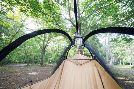 焚火ハンモック | tent-Mark DESIGNS テンマクデザイン WILD-1 ワイルドワン キャンプ アウトドアギア ※着日指定不可 