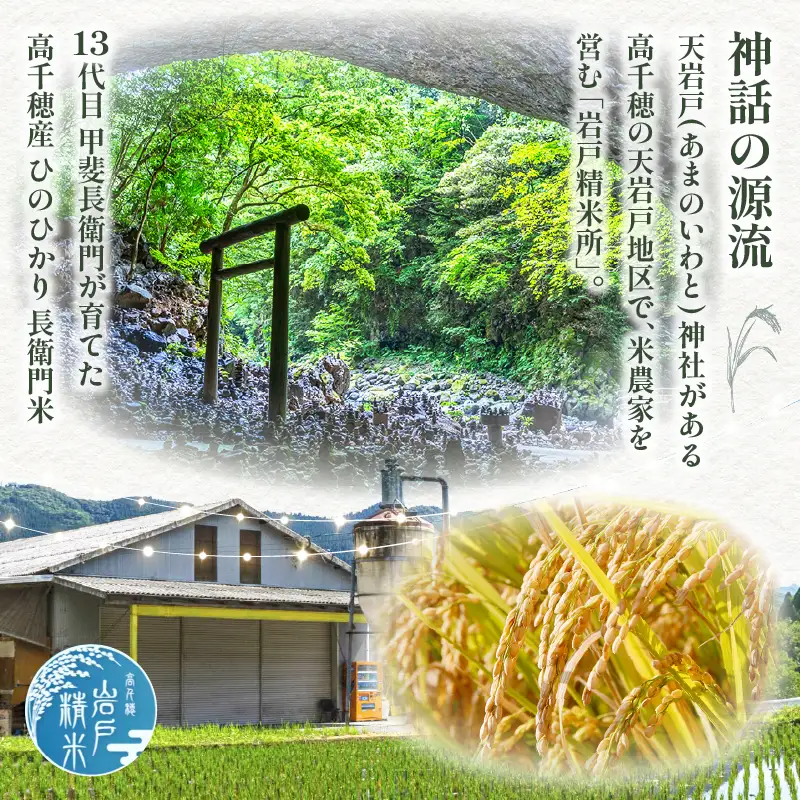 【3か月定期便】【令和7年産】13代目甲斐長衛門が選び抜いた高千穂産ひのひかり　長衛門米5㎏×3回  長衛門米 ヒノヒカリ 3か月 お米 精米 白米 米 白ご飯 ごはん おにぎり おむすび 米袋 農作物 定期便 宮崎県産 高千穂町産 普段使い _Tk019-t019