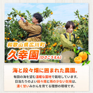 完熟 有田 みかん 訳あり 10kg 久幸園 / 温州みかん 有田みかん 甘い 家庭用 和歌山 柑橘 ※2026年11月～2027年1月下旬に順次発送 【hsk004-c-10C】