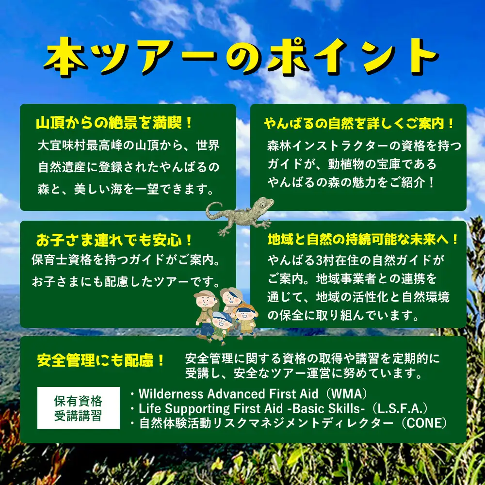 沖縄県北部やんばる・大宜味村最高峰ネクマチヂ岳を登る【5名様】