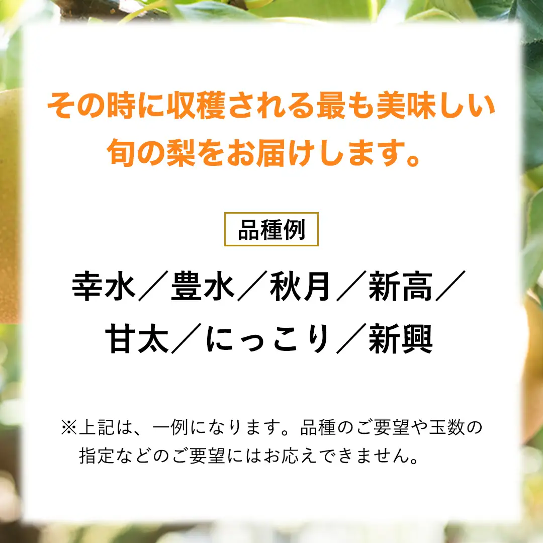 【 先行予約 】 品種おまかせ 採れたて 完熟天使の 甘梨 約 3kg （ 茨城県共通返礼品： かすみがうら市 ） 【 2026年8月中旬頃発送 】 